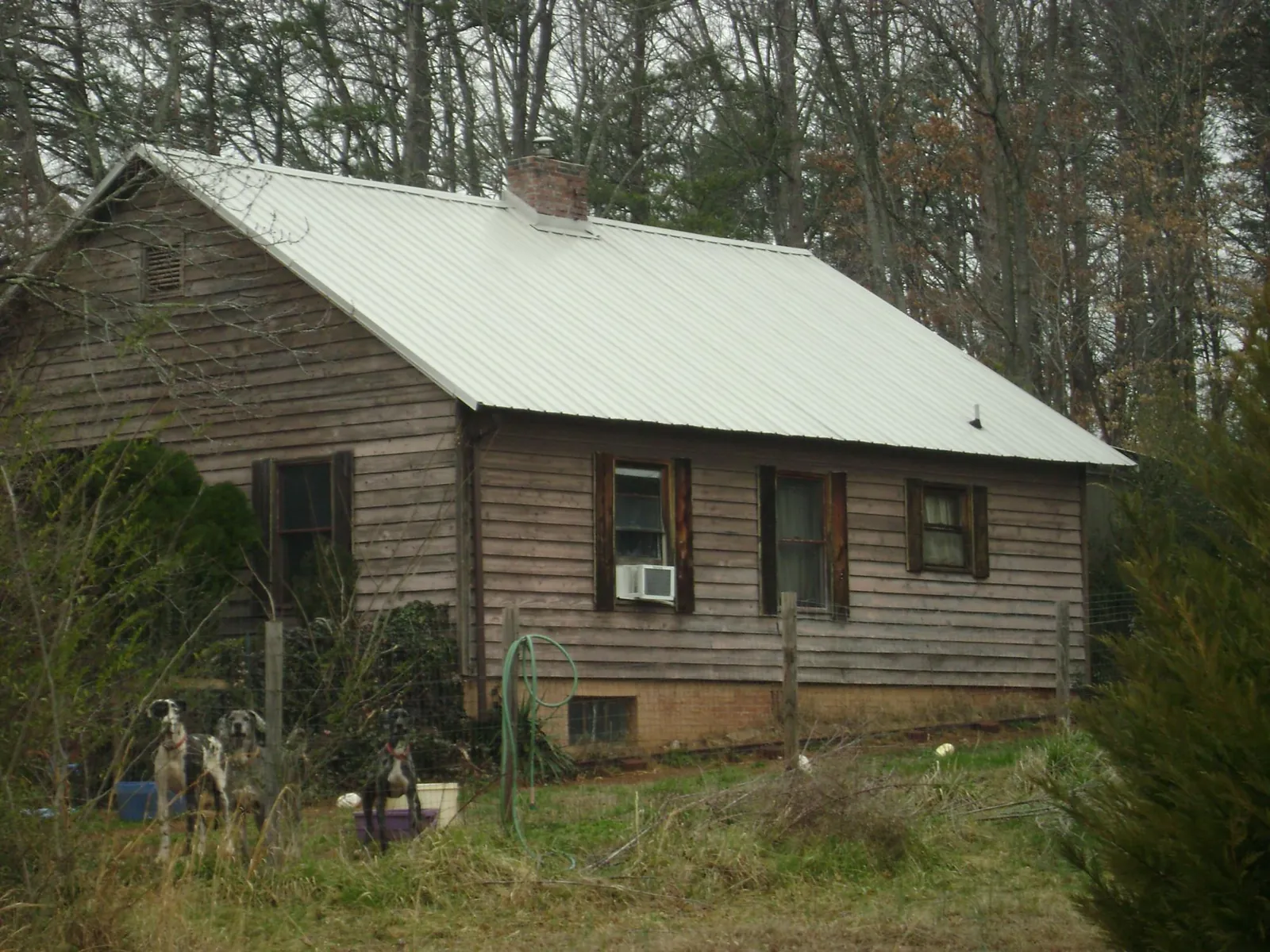 White metal roof on an old wood sided farmhouse in Clifford